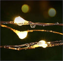 200 Waterproof LED Solar Fairy Light Outdoor with 8 Lighting Modes for Home,Garden and Decoration - RnR Galore