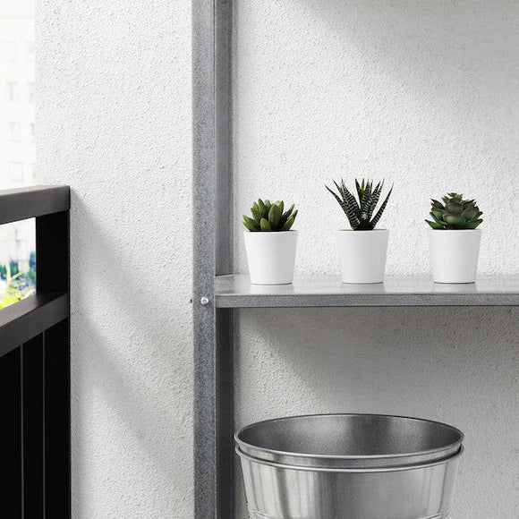 3 Pack of Artificial Succulent Potted Plants in White Plastic 6cm Pot Interior Decoration - RnR Galore