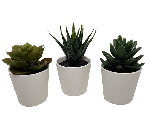 3 Pack of Artificial Succulent Potted Plants in White Plastic 6cm Pot Interior Decoration - RnR Galore