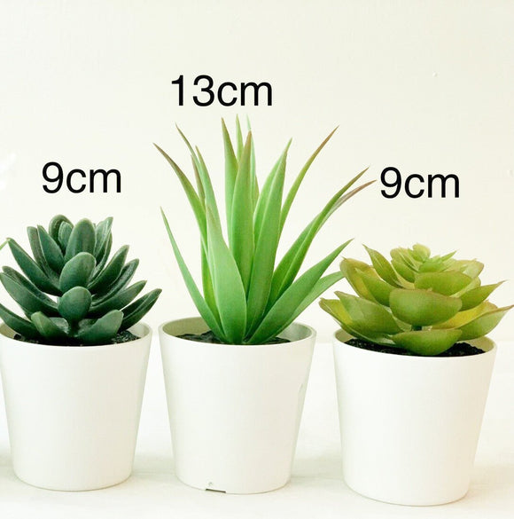 3 Pack of Artificial Succulent Potted Plants in White Plastic 6cm Pot Interior Decoration - RnR Galore