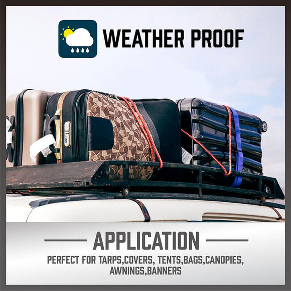 30 - Piece Premium Bungee Cord Assortment Includes 10” to 40” Bungee Cords, Canopy Ties & Tarp Clips - RnR Galore