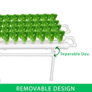 36 Sites Hydroponic Grow Tool Kits Vegetable Garden System 220V Water Pump - RnR Galore