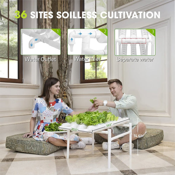 36 Sites Hydroponic Grow Tool Kits Vegetable Garden System 220V Water Pump - RnR Galore