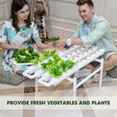 36 Sites Hydroponic Grow Tool Kits Vegetable Garden System 220V Water Pump - RnR Galore