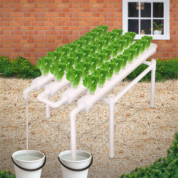 36 Sites Hydroponic Grow Tool Kits Vegetable Garden System 220V Water Pump - RnR Galore