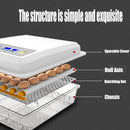 64 Egg Incubator Fully Automatic Digital Thermostat Chicken Eggs Poultry - RnR Galore