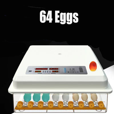 64 Egg Incubator Fully Automatic Digital Thermostat Chicken Eggs Poultry - RnR Galore