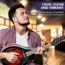 Karrera 8-String Electric Mandolin-7