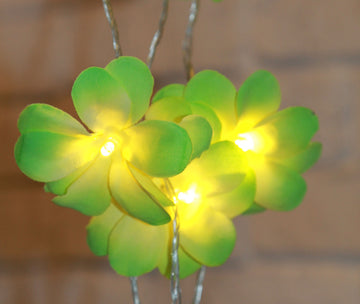 1 Set of 20 LED Green Frangipani Flower Battery String Lights Christmas Gift Home Wedding Party Decoration Outdoor Table Garland Wreath - 0