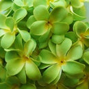 1 Set of 20 LED Green Frangipani Flower Battery String Lights Christmas Gift Home Wedding Party Decoration Outdoor Table Garland Wreath-3