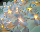 1 Set of 20 LED White Frangipani Flower Battery String Lights Christmas Gift Home Wedding Beach Party Decoration Outdoor Table Centrepiece-2
