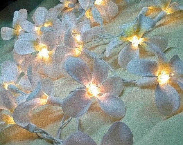 1 Set of 20 LED White Frangipani Flower Battery String Lights Christmas Gift Home Wedding Beach Party Decoration Outdoor Table Centrepiece - 0