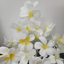 1 Set of 20 LED White Frangipani Flower Battery String Lights Christmas Gift Home Wedding Beach Party Decoration Outdoor Table Centrepiece-6