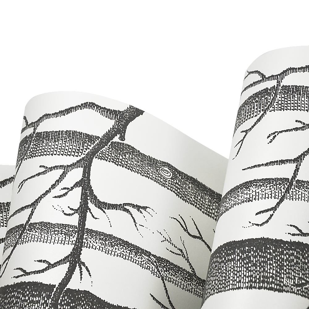 Wallpaper White Birch Tree Non-woven Wall Paper Roll