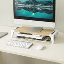activiva Ergolife Monitor Stand Riser with Storage Drawer - RnR Galore
