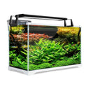 Aquarium Starfire Glass Fish Tank Set Filter Pump 39L - RnR Galore