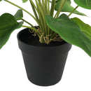 Artificial Flowering White & Orange Peace Lily / Calla Lily Plant 50cm - RnR Galore