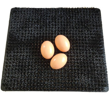 Cheeky Chooka Nesting Box Egg Mat - RnR Galore
