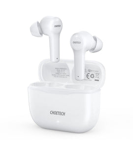 CHOETECH BH - T01 Bluetooth True Wireless Earbuds - RnR Galore