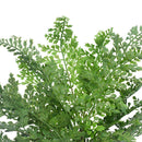 Faux Maden Hair Fern Stem 40cm - RnR Galore