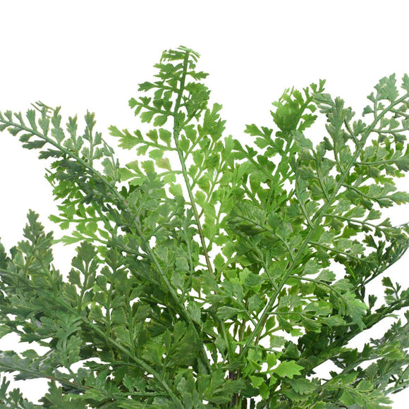 Faux Maden Hair Fern Stem 40cm - RnR Galore