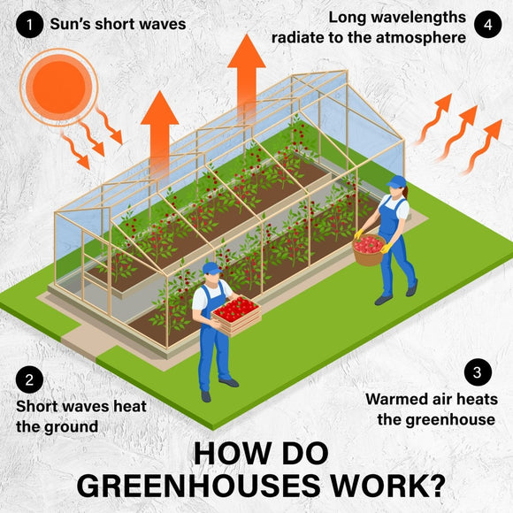 Garden Greenhouse Walk - In Shed 3.5x2x2M PE Apex - RnR Galore