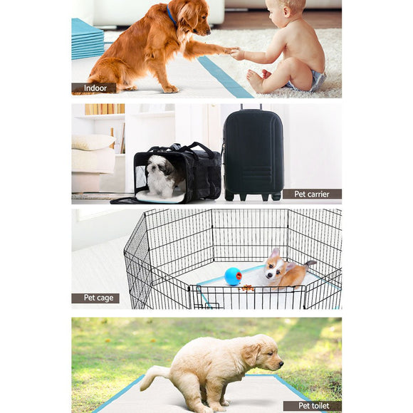 i.Pet Pet Training Pads 400pcs 60x60cm Puppy Dog Toilet Pee Indoor Super Absorbent Blue - RnR Galore