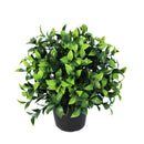 Small Potted Artificial Jasmine Plant UV Resistant 20cm - RnR Galore