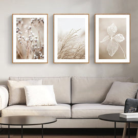 Wall Art 40cmx60cm Dried Flower 3 Sets Wood Frame Canvas - RnR Galore