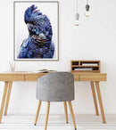 Wall Art 60cmx90cm Black Cockatoo A Black Frame Canvas - RnR Galore