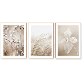 Wall Art 60cmx90cm Dried Flower 3 Sets Wood Frame Canvas - RnR Galore