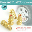 X - BULL Tyre Deflators Brass Air Deflator 0 - 60 PSI Tire Valve Core Tool Automatic - RnR Galore